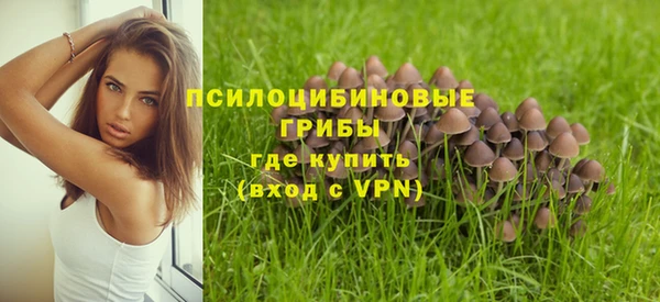 эйфоретик Абаза