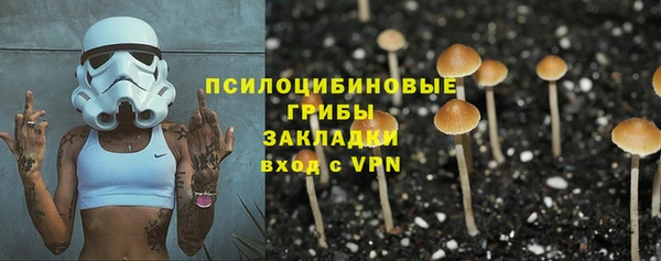 соль курить ск Михайлов