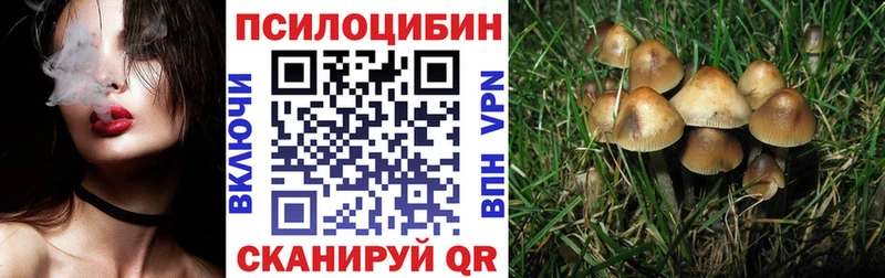 закладки  Ишимбай  omg ССЫЛКА  Галлюциногенные грибы Magic Shrooms 